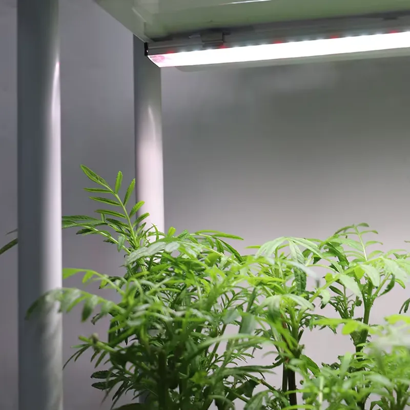 Vertical Planter - 移動式垂直型3段自動給水スマートガーデンプランターボックススタンド、室内ハーブ植物栽培システム（ライト付き）