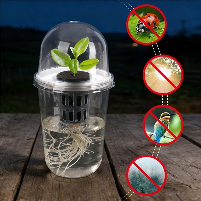 [A93Z！] 水耕栽培用育苗カップ、卓上温室、水耕栽培シス - Hydroponic Kit のレビューと価格