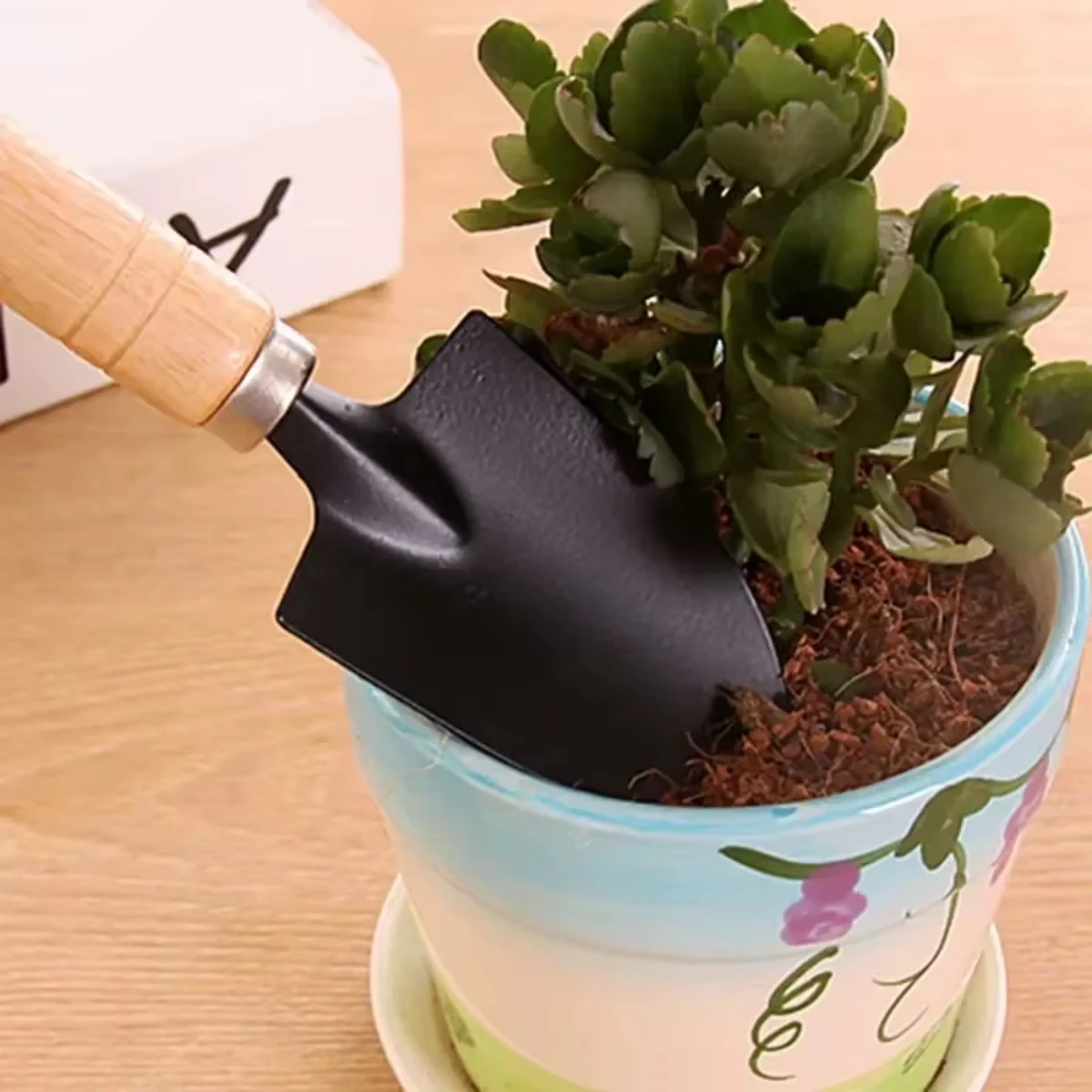 3点セット ミニガーデンツールセット。庭の植物、花鉢、サボテ - Indoor Herb Garden のレビューと価格
