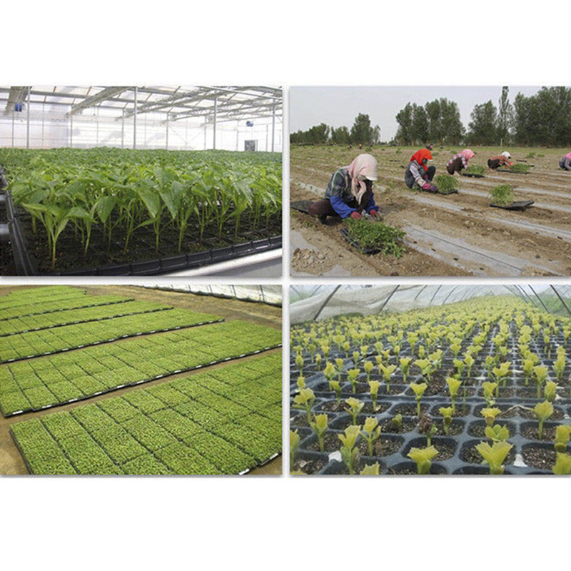 200 細胞苗成長ケース発芽植物繁殖保育園シードトレイ - Seed Starter Tray のレビューと価格