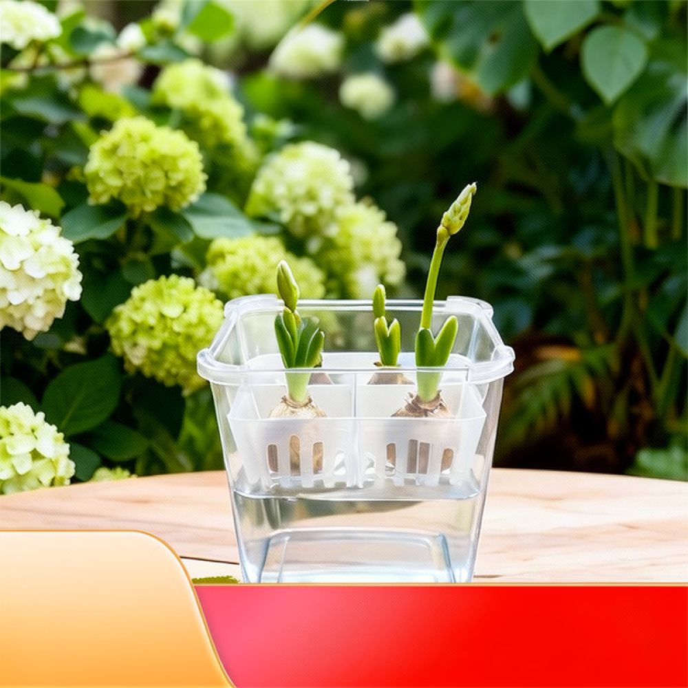チューリップやユリの球根を植えるための、透明な水耕栽培用花瓶 - Plant Pot のレビューと価格