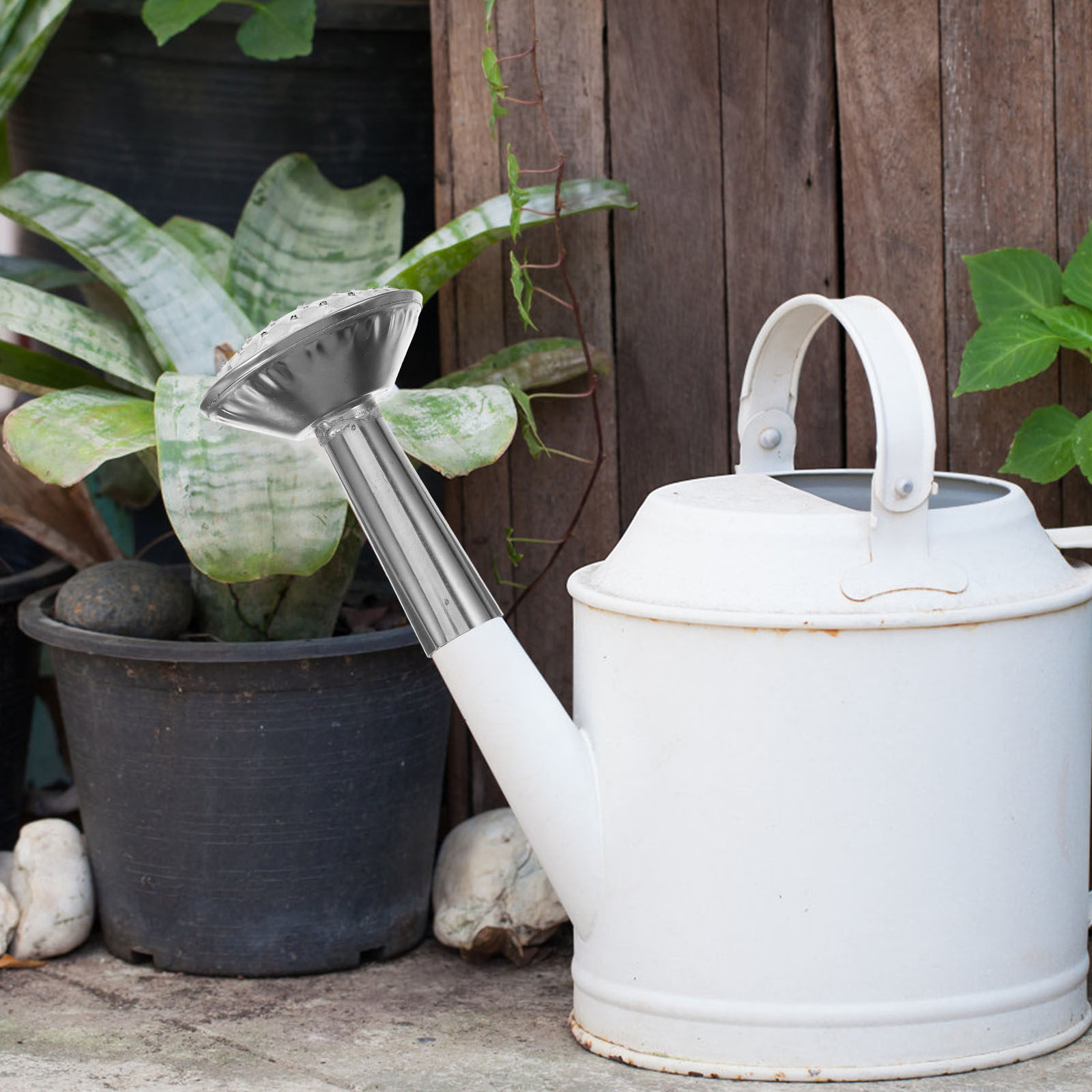 ステンレス製のじょうろ用スプレーヘッド – 耐久性に優れ、簡 - Watering Can のレビューと価格