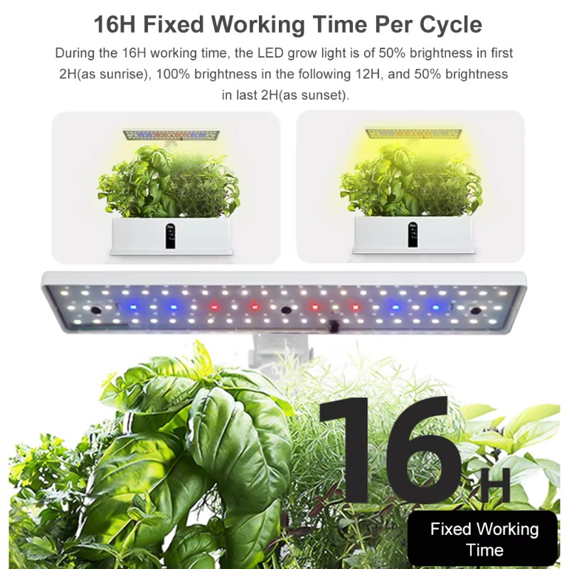 9ポッドスマート水耕栽培システム 室内ガーデンキット 自動タ - Hydroponic Kit のレビューと価格