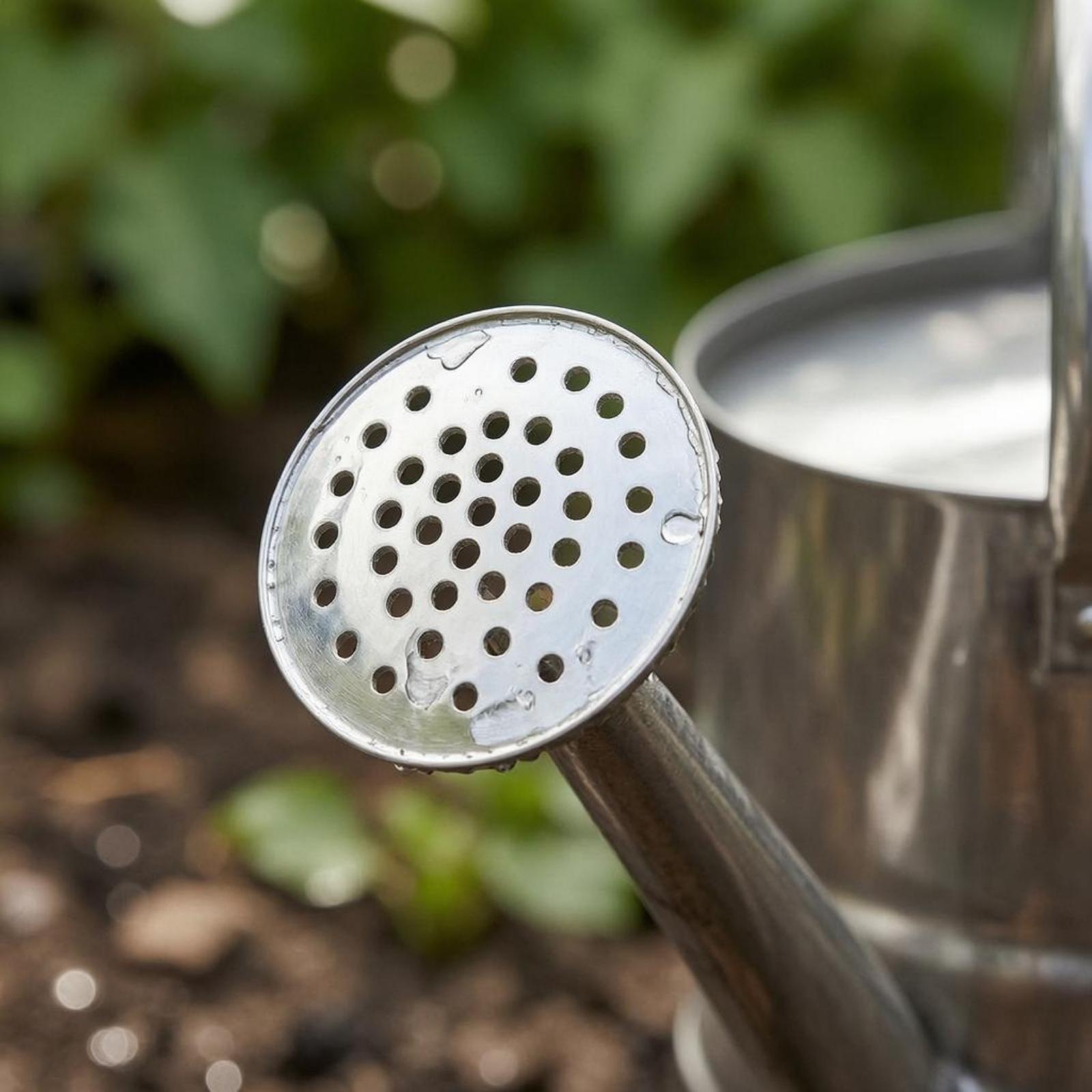 庭の花の水やり缶 ステンレス製 丈夫な植物用じょうろ 長い注 - Watering Can のレビューと価格