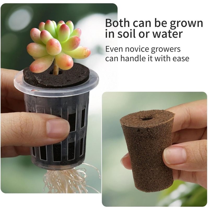 【ABFI！】水耕栽培用育苗カップ、卓上温室、水耕栽培システ - Hydroponic Kit のレビューと価格